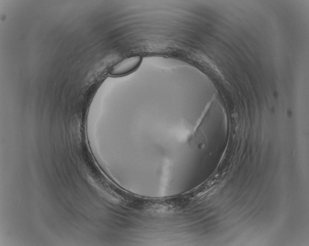 X0000076380542200610271530