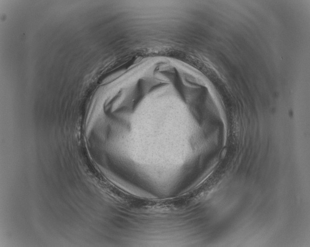 X0000076380545200610271530