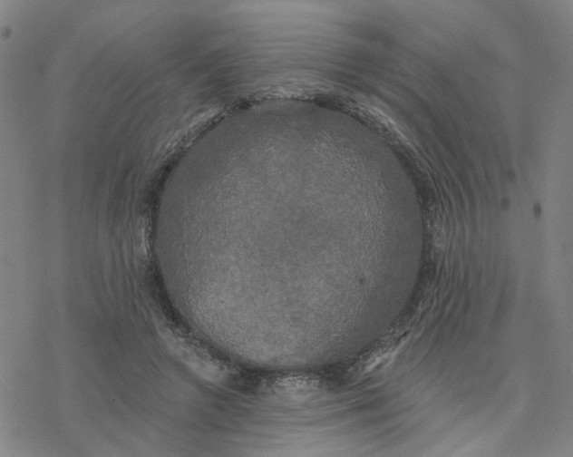 X0000076380546200610271530