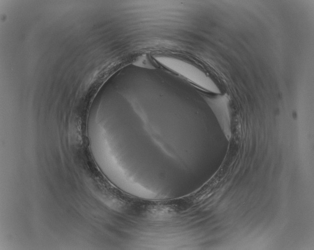 X0000076380547200610271530