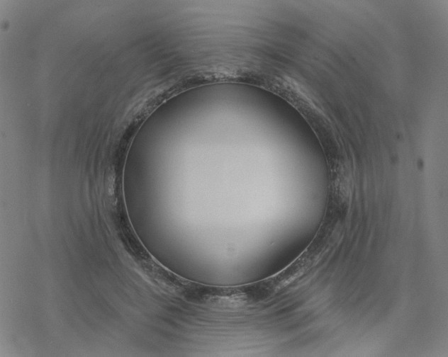 X0000076380548200610271530