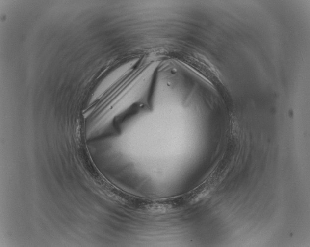 X0000076380549200610271530