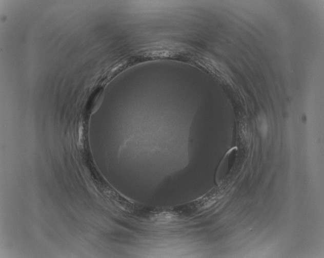 X0000076380551200610271530