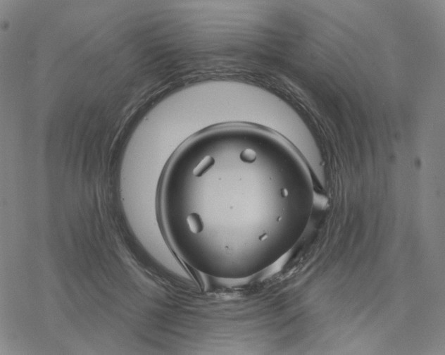 X0000076380552200610271530