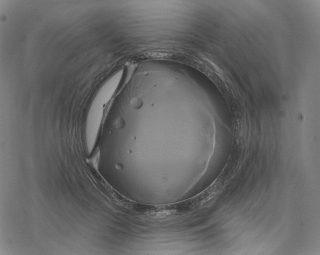 X0000076380553200610271531