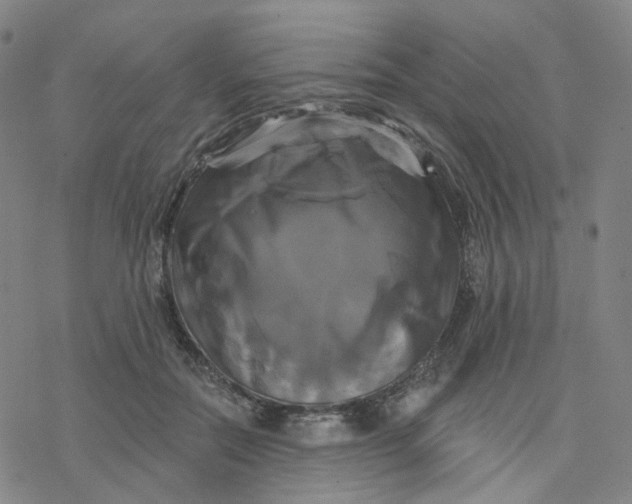 X0000076380554200610271531