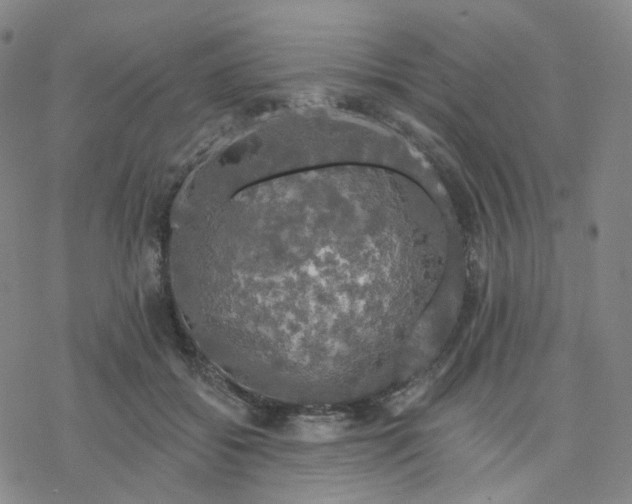 X0000076380556200610271531