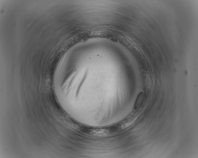 X0000076380557200610271531