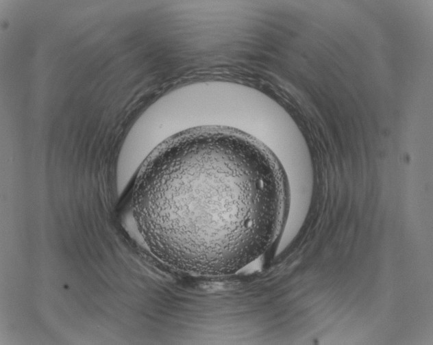 X0000076380558200610271531