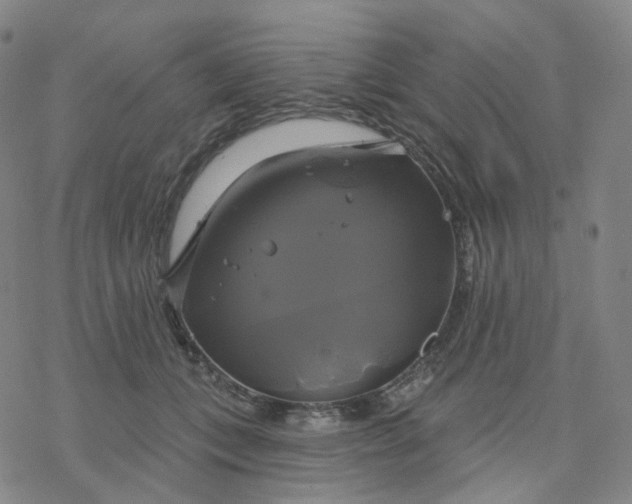 X0000076380559200610271531