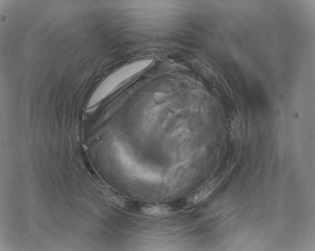 X0000076380561200610271531