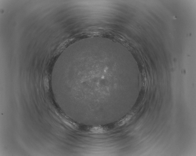 X0000076380562200610271531