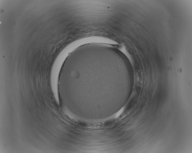 X0000076380563200610271531