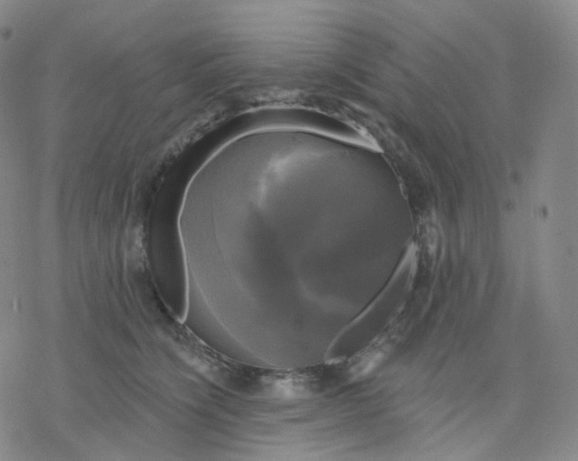 X0000076380564200610271531