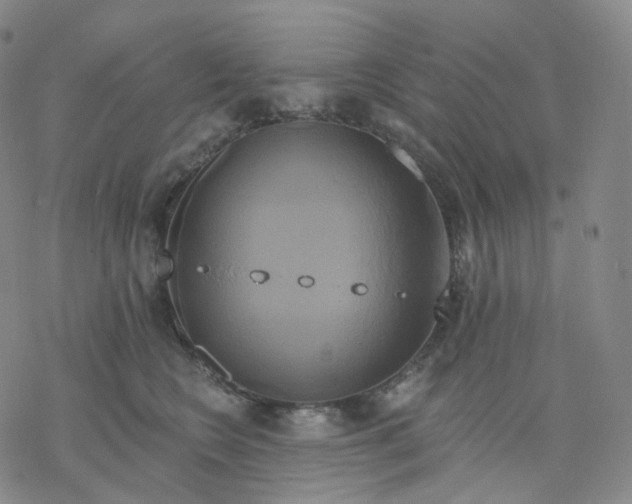 X0000076380566200610271531