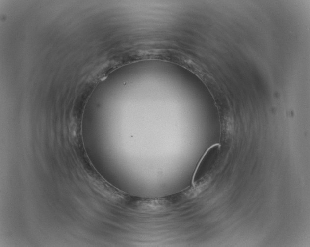 X0000076380567200610271531