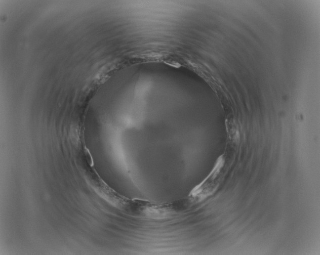 X0000076380568200610271531