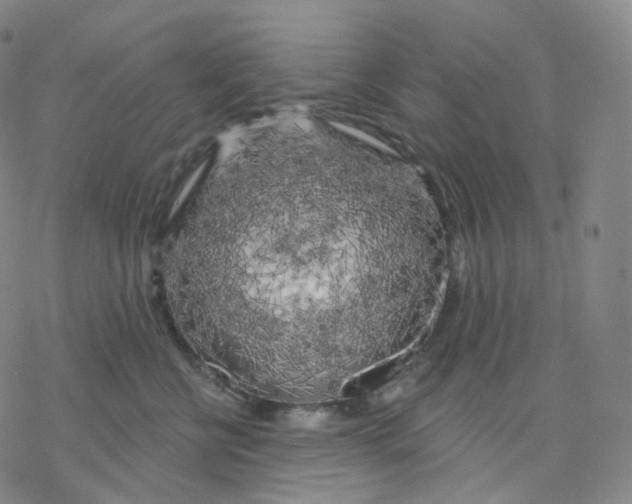 X0000076380570200610271531