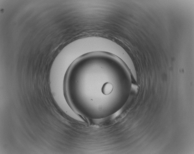 X0000076380572200610271531