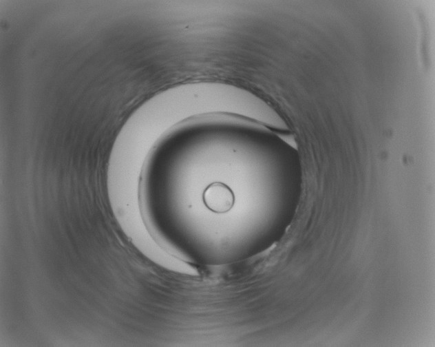 X0000076380576200610271531