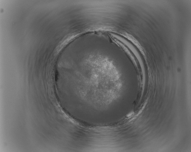 X0000076380577200610271530