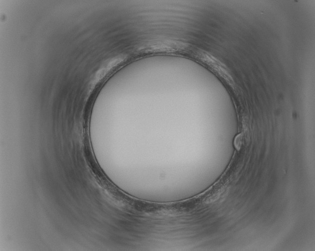 X0000076380578200610271530