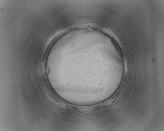 X0000076380579200610271530