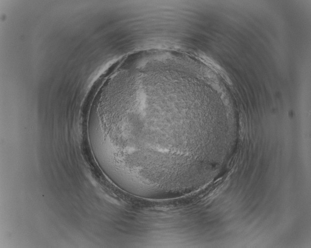 X0000076380580200610271530