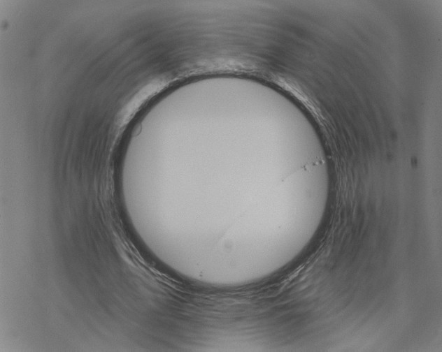 X0000076380583200610271530