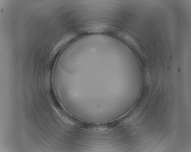 X0000076380586200610271530