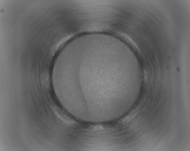 X0000076380588200610271530