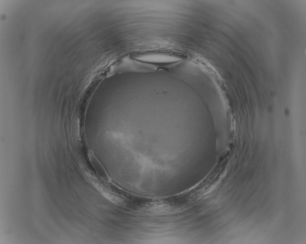 X0000076380589200610271530