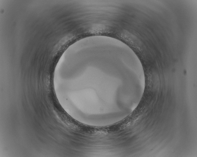 X0000076380592200610271530