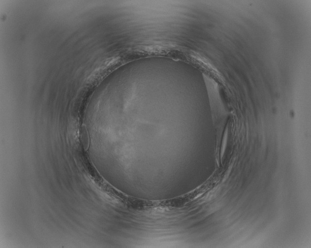 X0000076380593200610271530