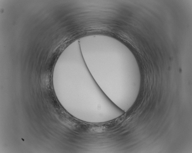 X0000076380595200610271530