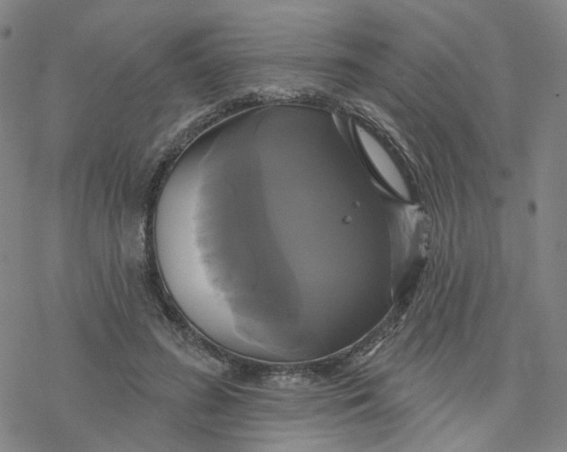 X0000076380596200610271530