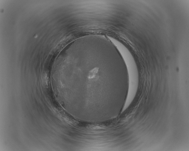 X0000076380597200610271530