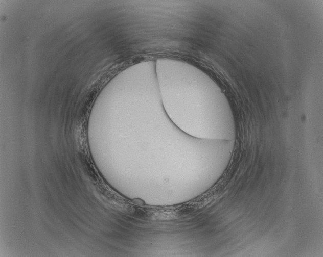 X0000076380599200610271530