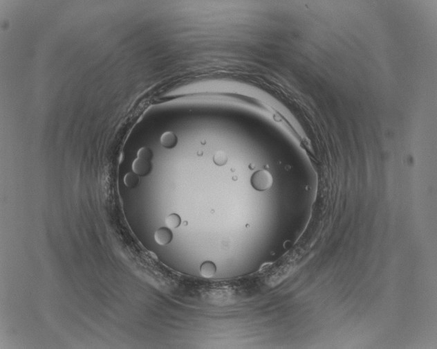 X0000076380600200610271530