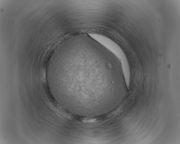 X0000076380602200610271530