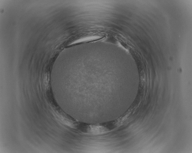 X0000076380605200610271530