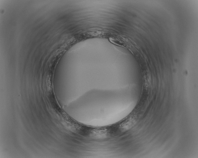 X0000076380606200610271530