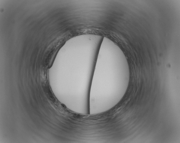 X0000076380607200610271530