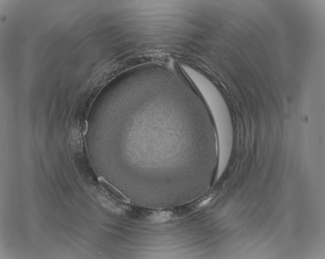 X0000076380609200610271530