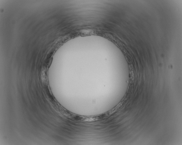 X0000076380611200610271530