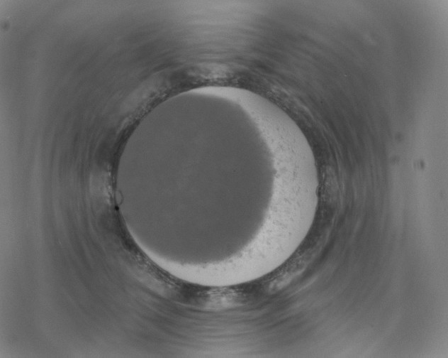 X0000076380612200610271530