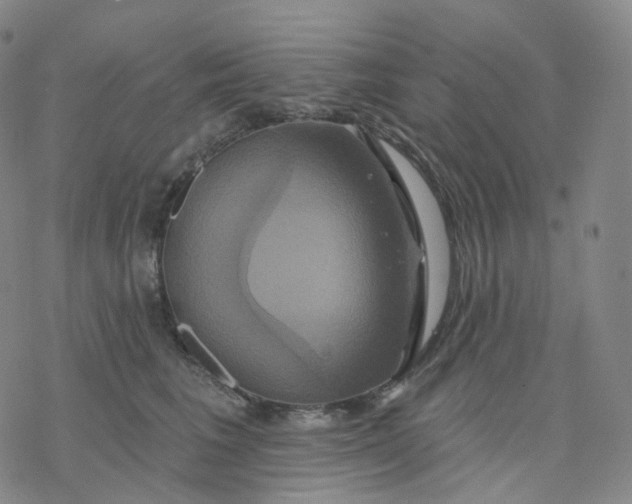 X0000076380613200610271530