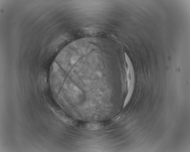 X0000076380615200610271529