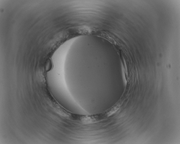 X0000076380616200610271529