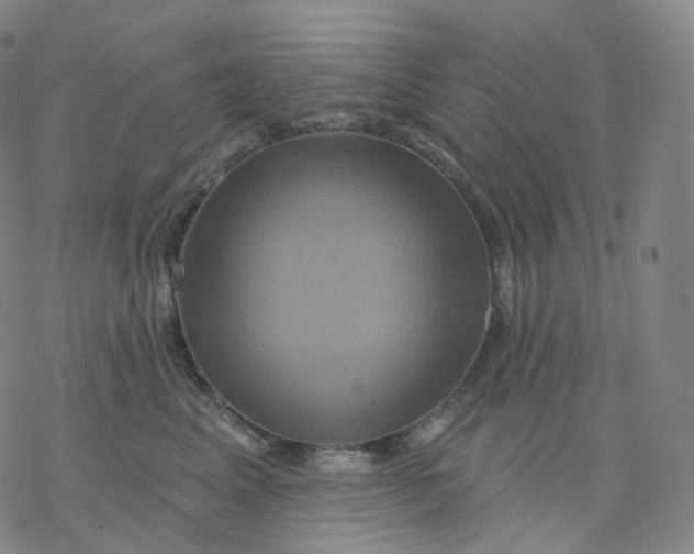 X0000076380617200610271529